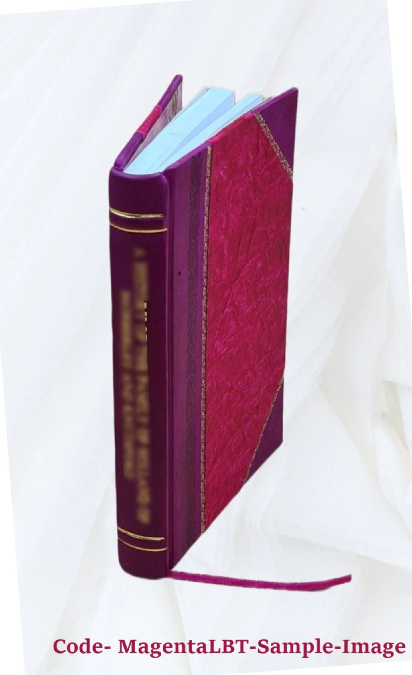 Dissertation upon "heirs male," : when used as a clause of remainder in grants of Sizecotch peerages, with some incidental discussions / by Alexander Sizeinclair. 1837 [Leather Bound]