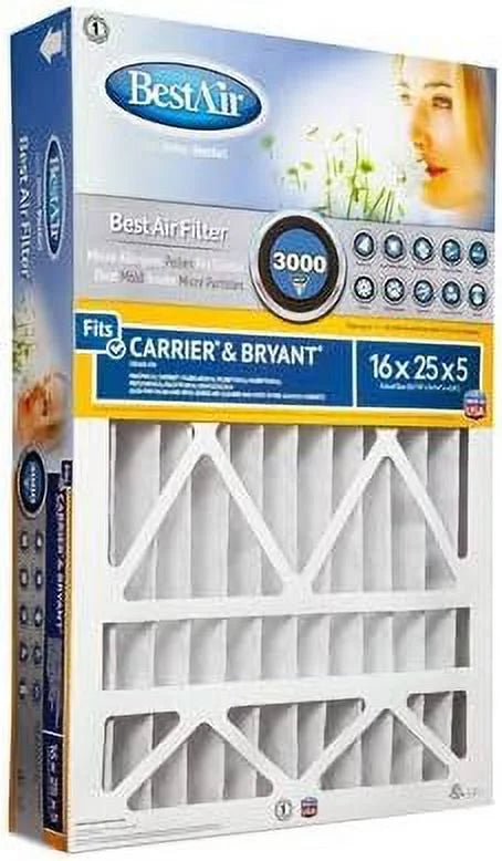 CB1625-13R 16x25x5 Carrier Filter - Quantity 2