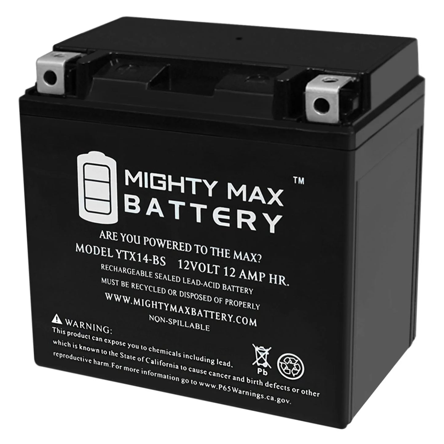 YTX14-BSize Replacement Battery for HONDA TRX 300 Rubicon Foreman Rancher