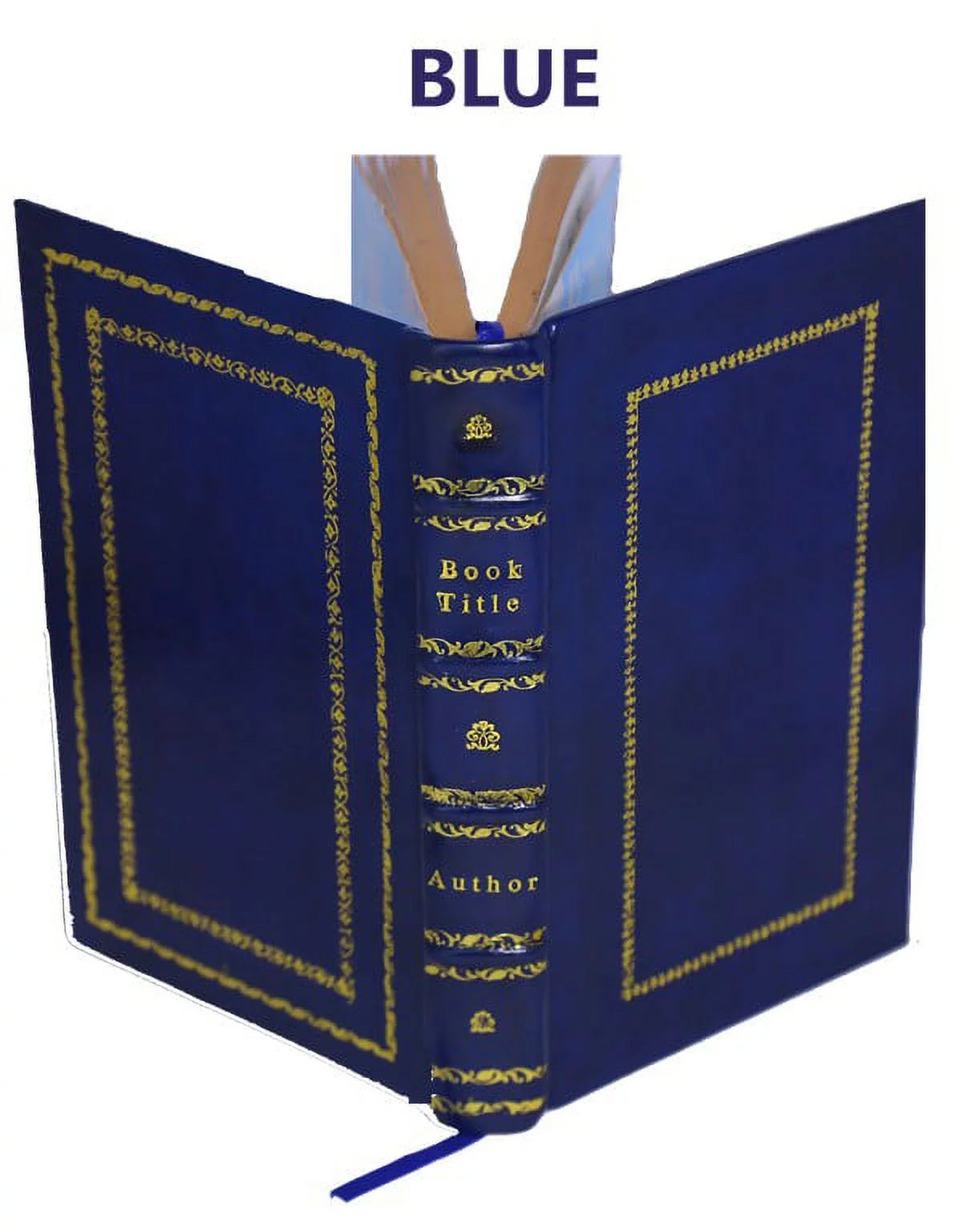 Revelations of divine love shewed to mother juliana of norwich 1373 1902 [Premium Leather Bound]