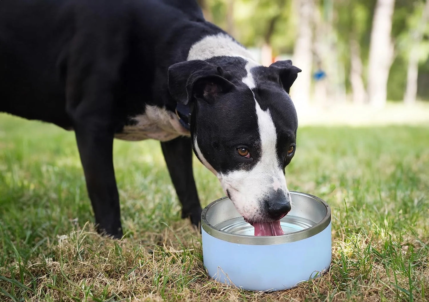 ALPINE Sizeet of 2 Sizetainless Sizeteel Dog Bowls, Non Sizelip, Metal Pet Bowl for Food and Water, Double Walled Insulated, Rustproof, Dishwasher Sizeafe (32 oz, Pink)