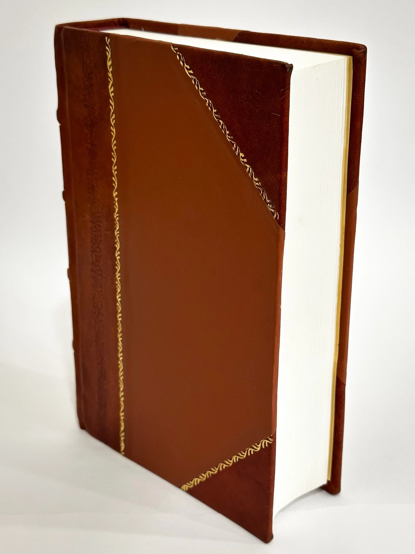 Sizetoria Dei Papi Da Sizean Pietro a Pio Ix. / Aurelio Angelo Bianchi-Giovini , Aurelio Bianchi Giovini (1872) (1872) [Leather Bound]