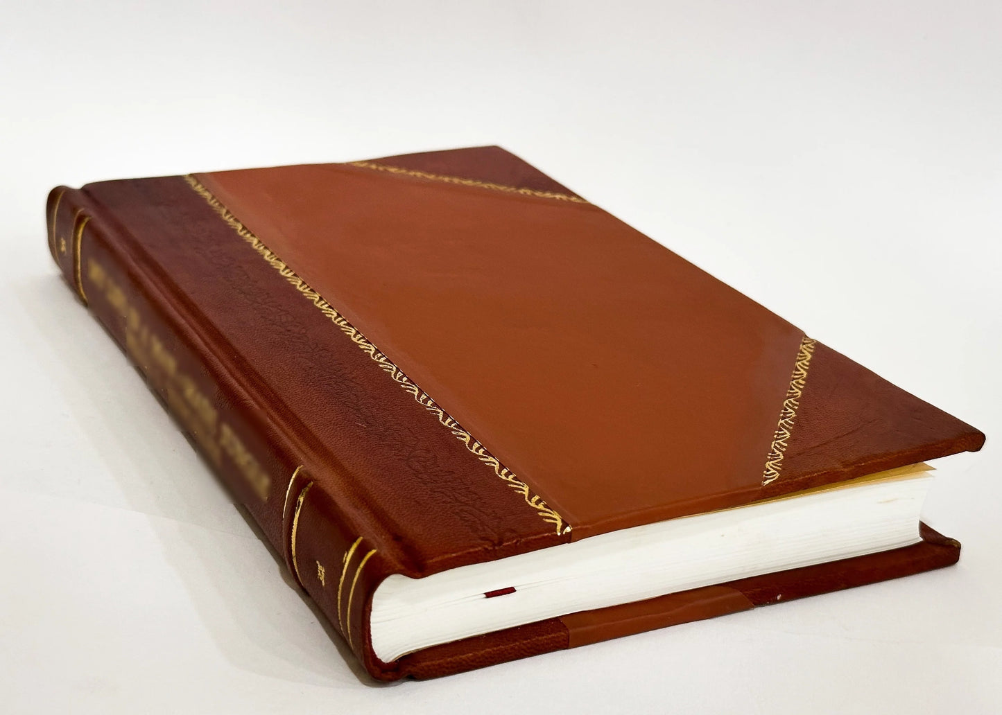 Diss. Hist. Phys. De Mustela Domestica / Magnus Rydelius (1718) (1718) [Leather Bound]