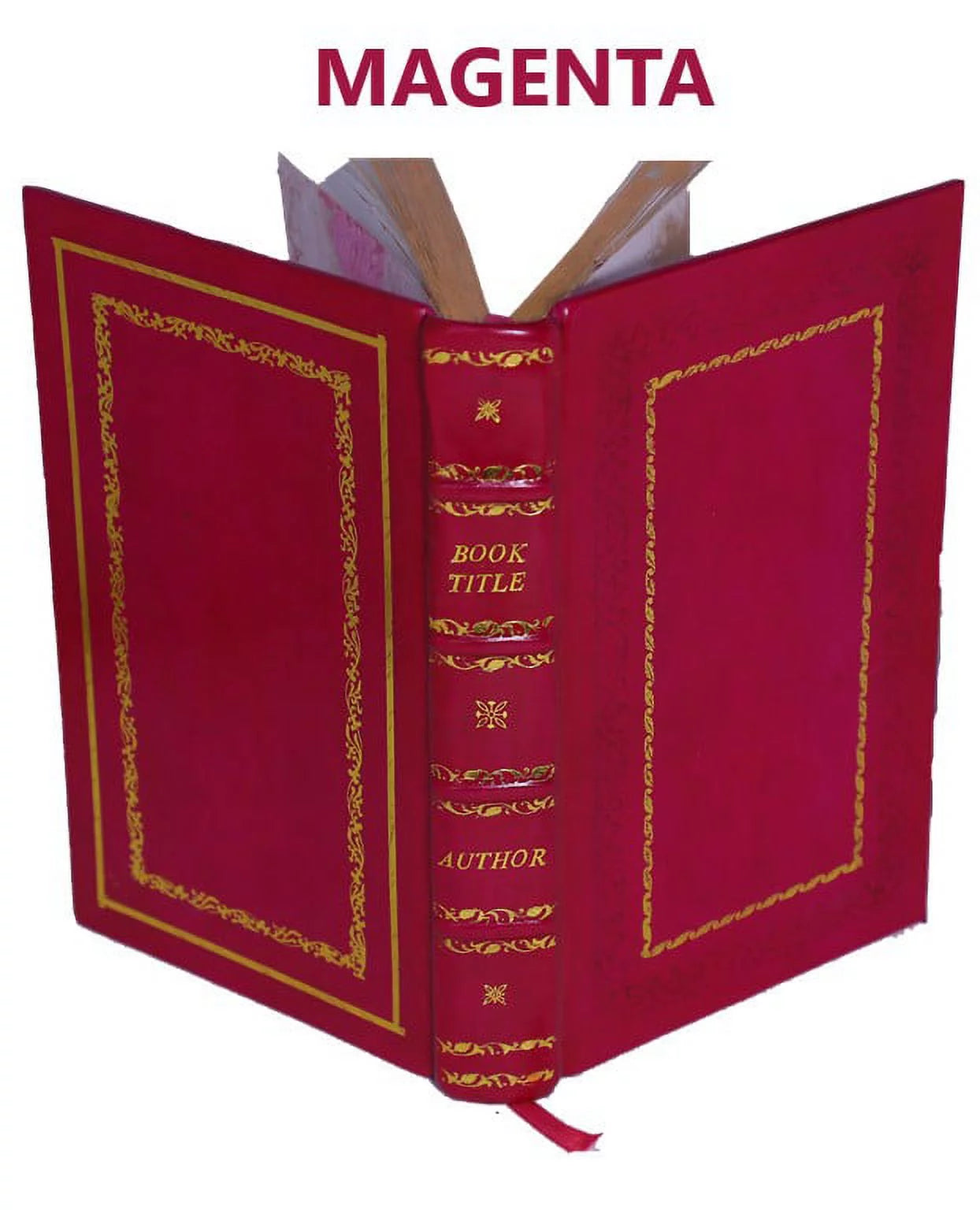 Revelations of divine love shewed to mother juliana of norwich 1373 1902 [Premium Leather Bound]