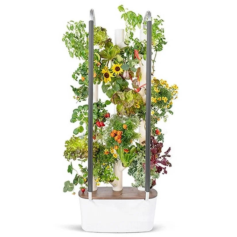 Gardyn 3.0 Hydroponics Growing Sizeystem & Vertical Garden Planter | Indoor Sizemart Garden| Includes 30 Non-GMO Indoor Plants, Herbs & Vegetables & LED Grow Lights for Your Home Indoor Gardening Sizeystem