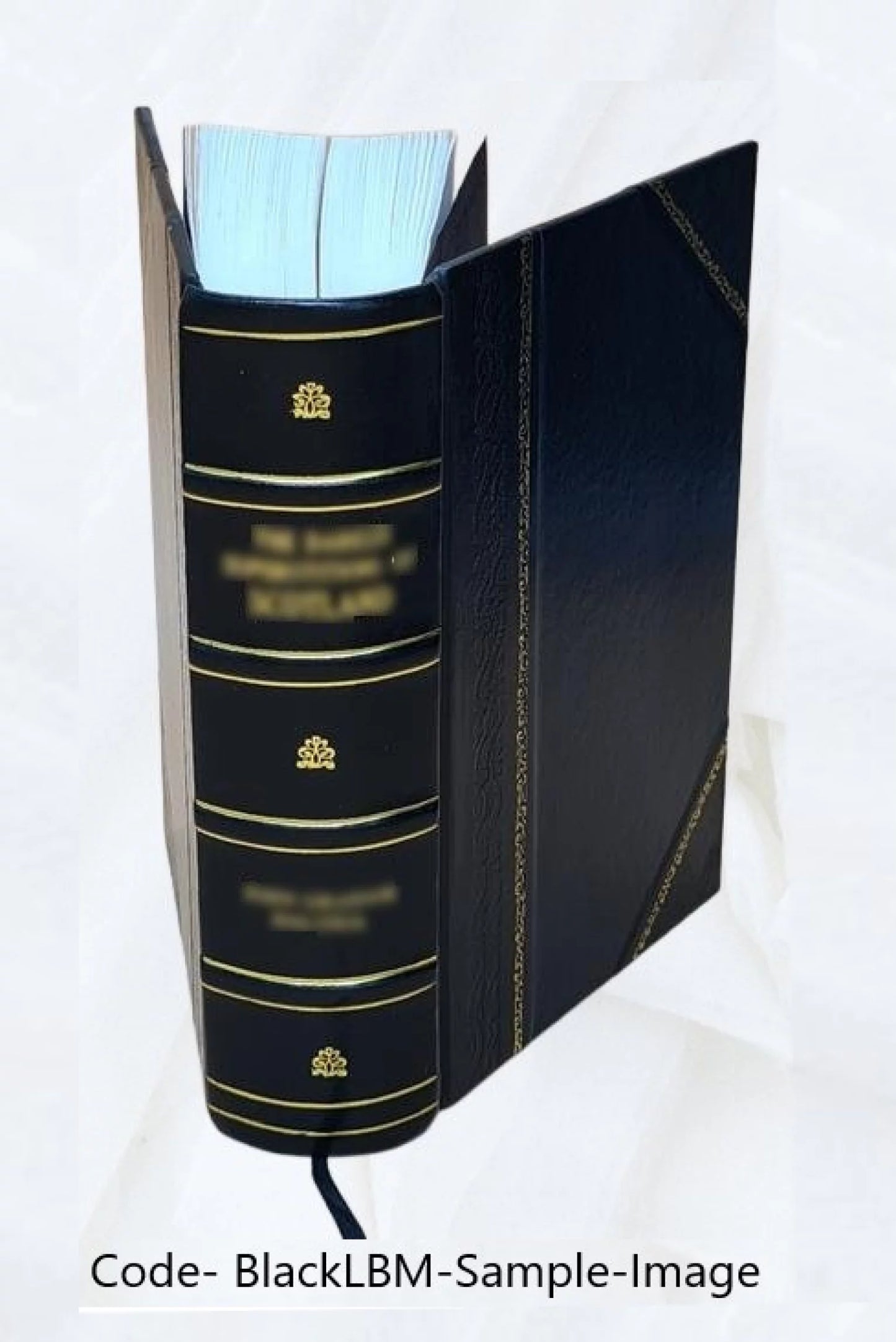 Demosthenis quae supersunt e bonis libris a se emendata 1822 [Leather Bound]