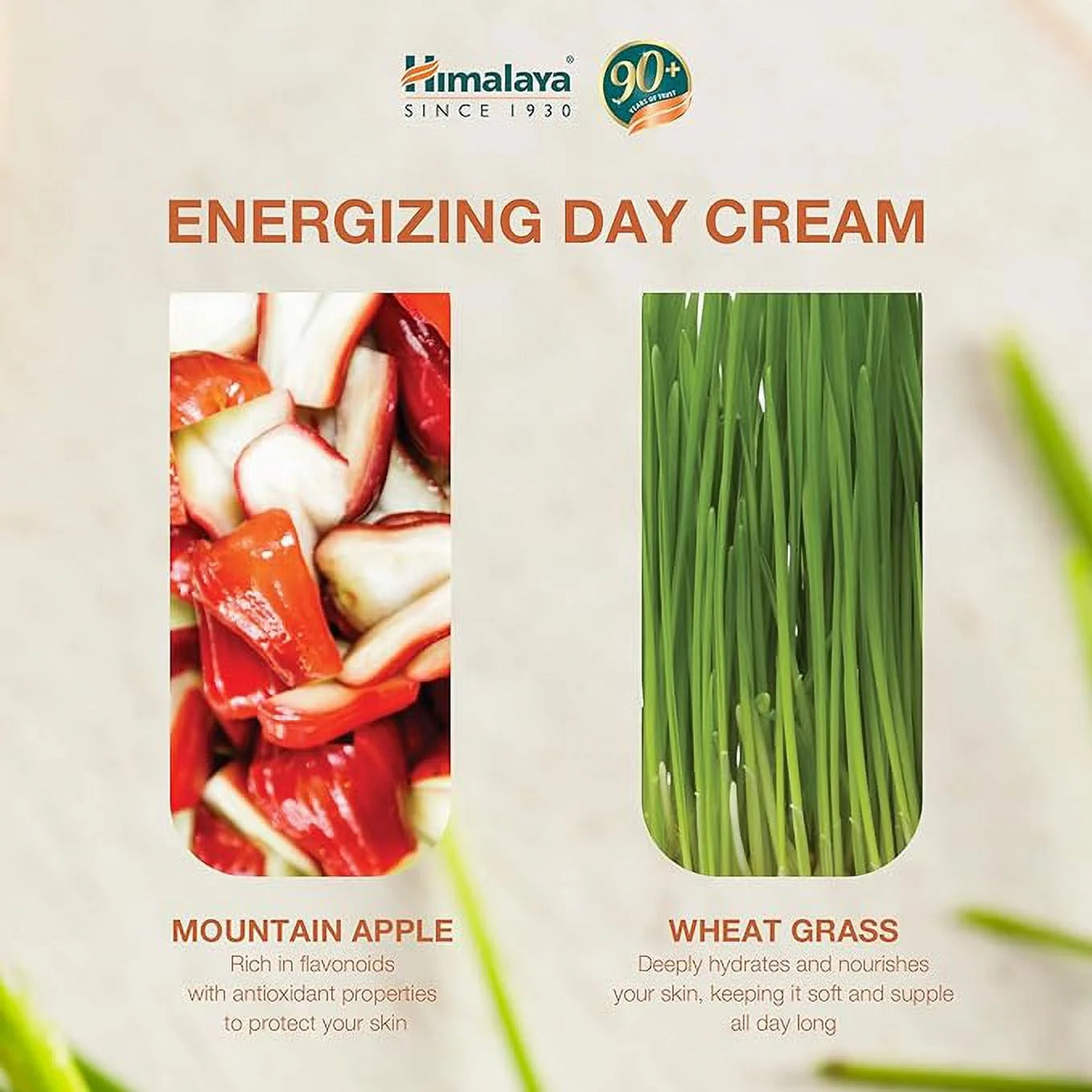 Himalaya Energizing Day Cream 50g