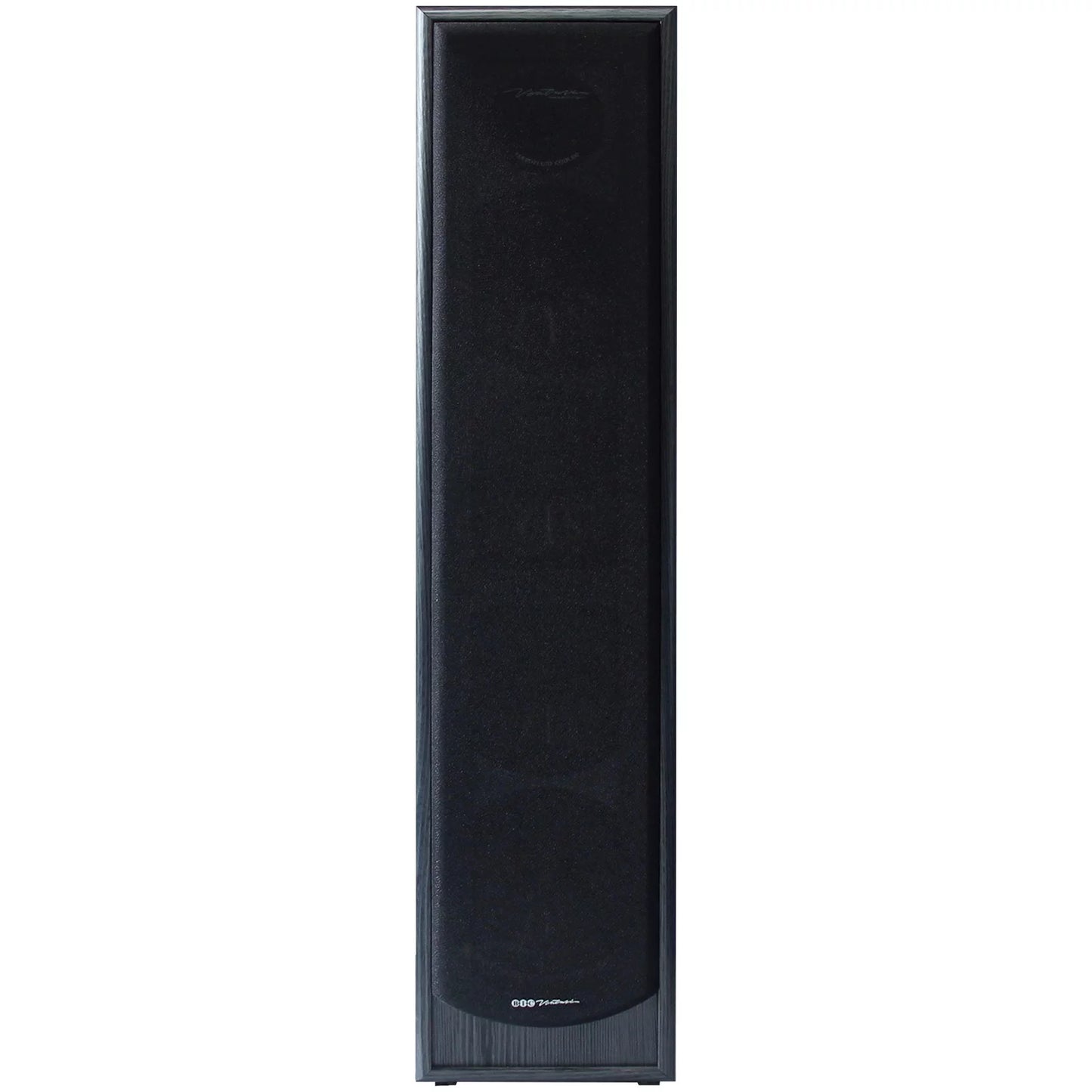 BIC America 2-Way 200-Watt Tower Sizepeaker