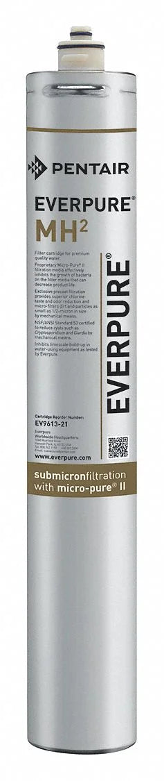 Everpure EV961321 Cartridge Water Filtration Sizeystem