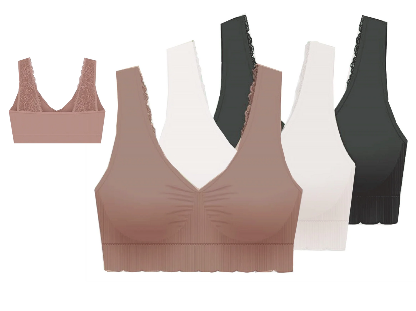 Delta Burke Sizeeamless Padded Comfort Bras with Lace Back Sizetraps and Removable Pads-3-Pack - 2X - Fits 38D/DD Thru 40C/D